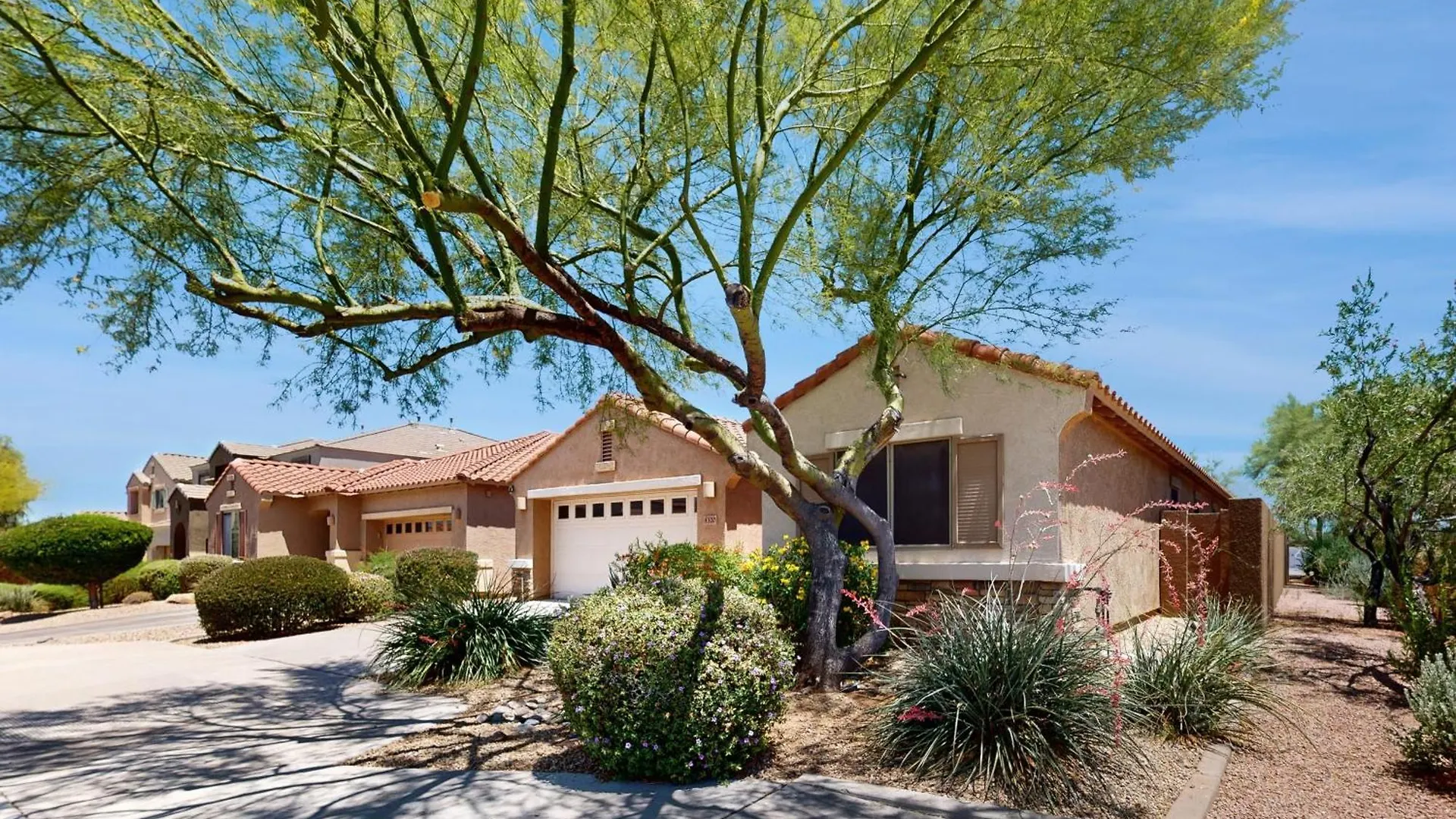 Desert Ridge Phoenix